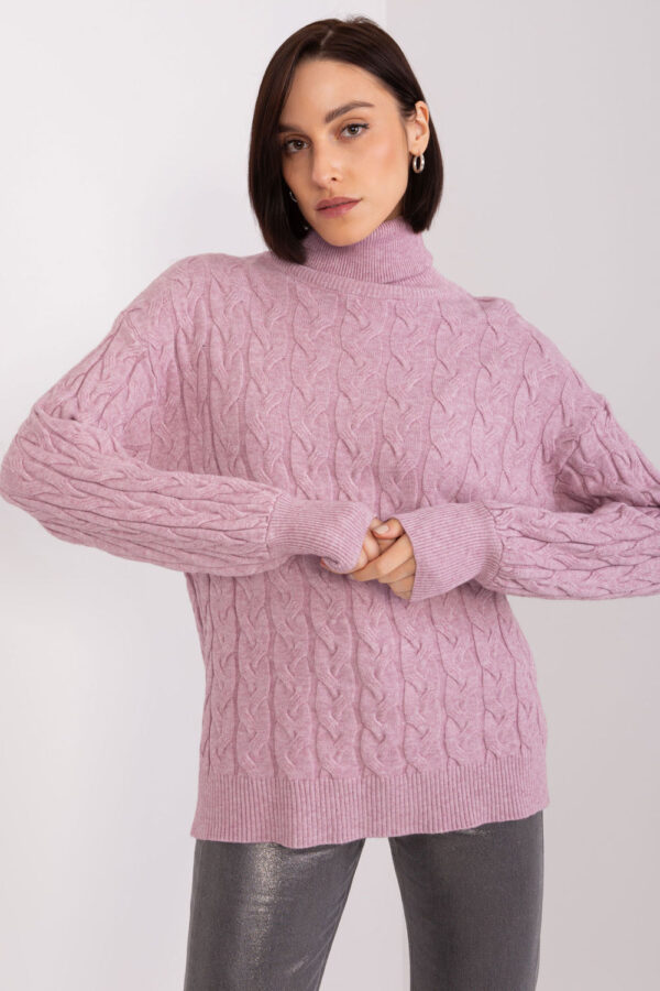 1003526 Turtleneck model 188298 AT