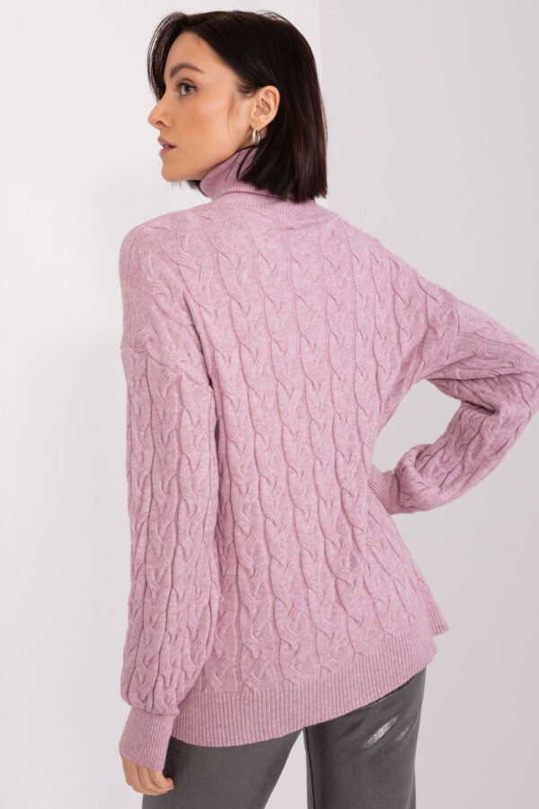 1003528 Turtleneck model 188298 AT