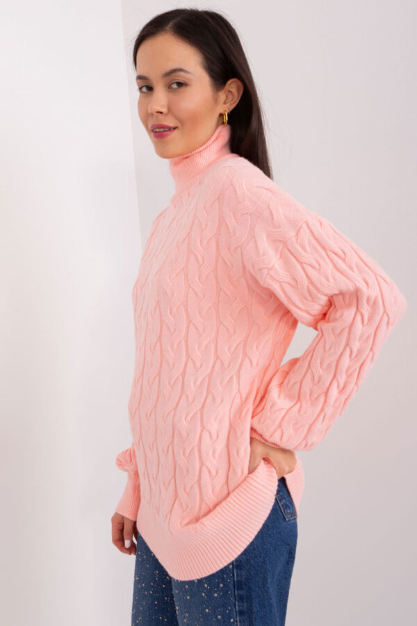 1003550 Turtleneck model 188306 AT