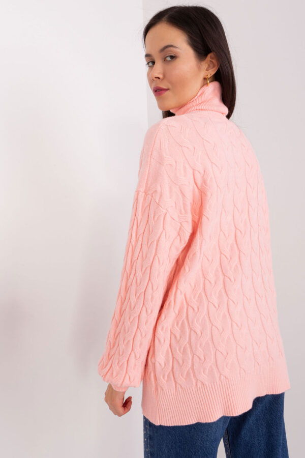 1003551 Turtleneck model 188306 AT