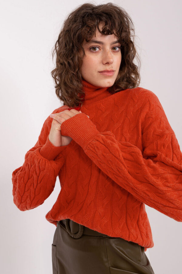 1003559 Turtleneck model 188309 AT