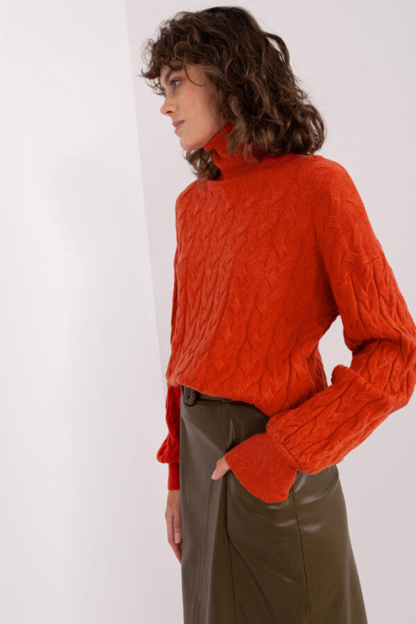 1003560 Turtleneck model 188309 AT