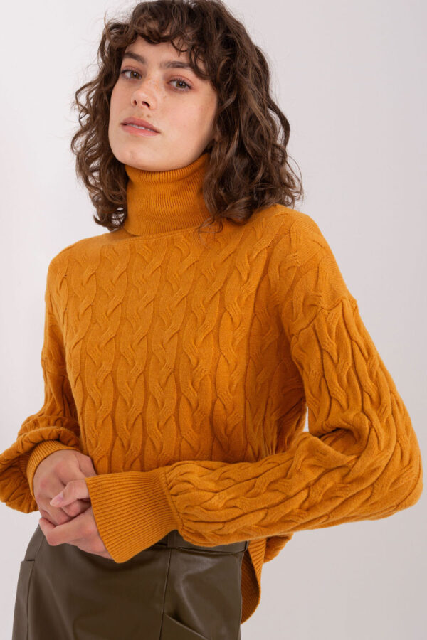 Turtleneck model 188311 AT