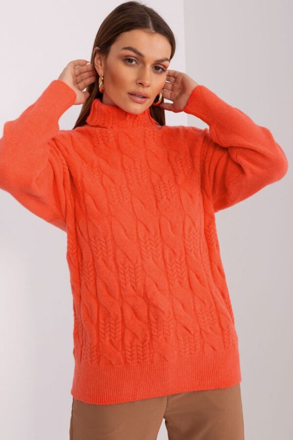 1008177 Turtleneck model 189892 AT