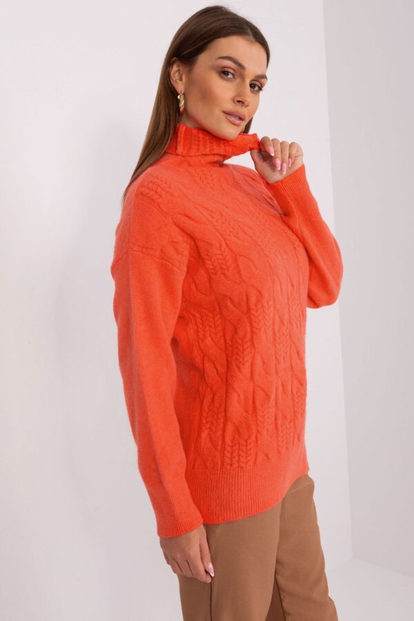 1008178 Turtleneck model 189892 AT