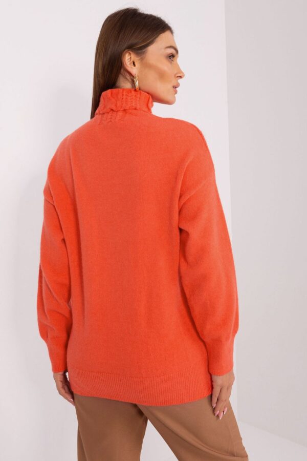 1008179 Turtleneck model 189892 AT