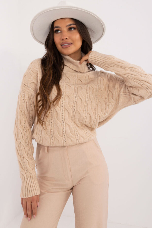 1036975 Turtleneck model 199440 AT