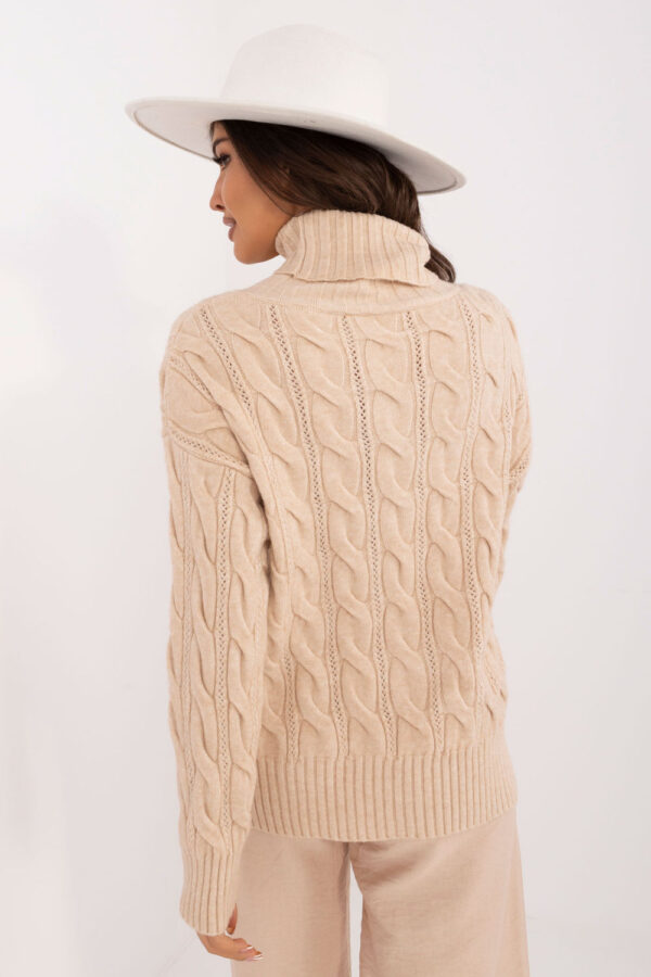 1036977 Turtleneck model 199440 AT