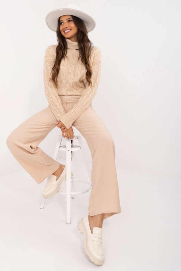 1036978 Turtleneck model 199440 AT