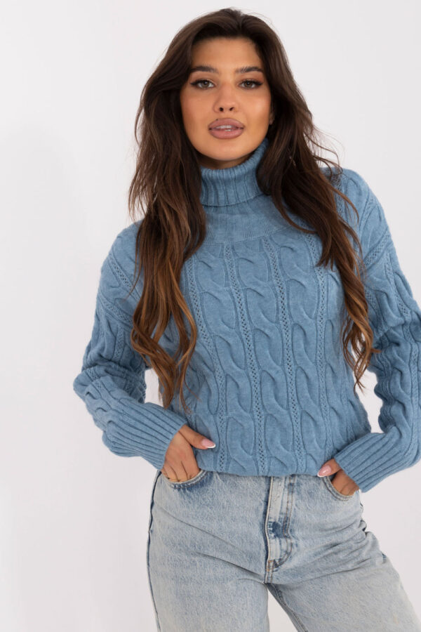 1036985 Turtleneck model 199443 AT