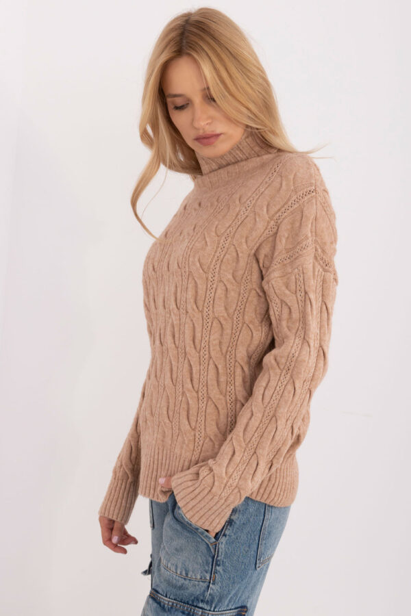 1037182 Turtleneck model 199521 AT