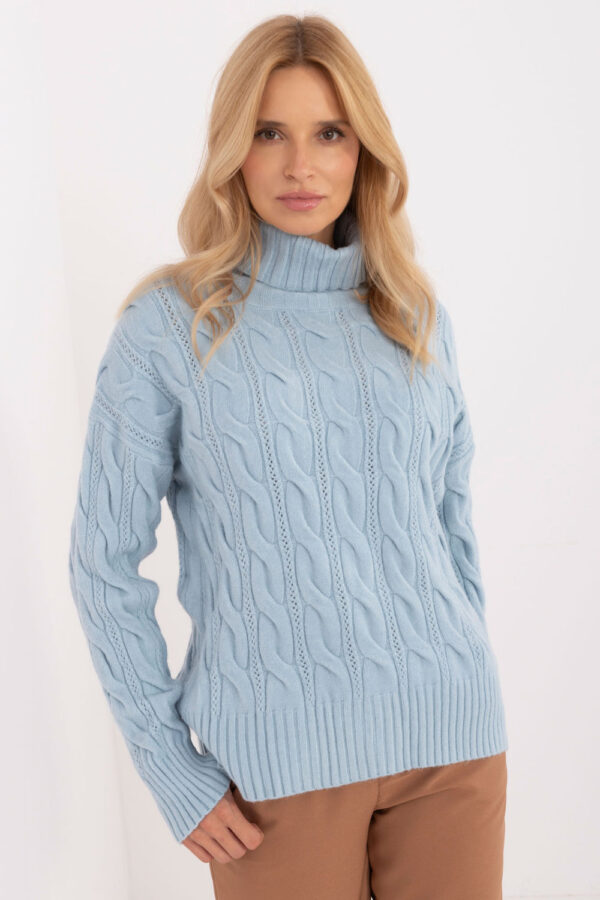 1037197 Turtleneck model 199526 AT