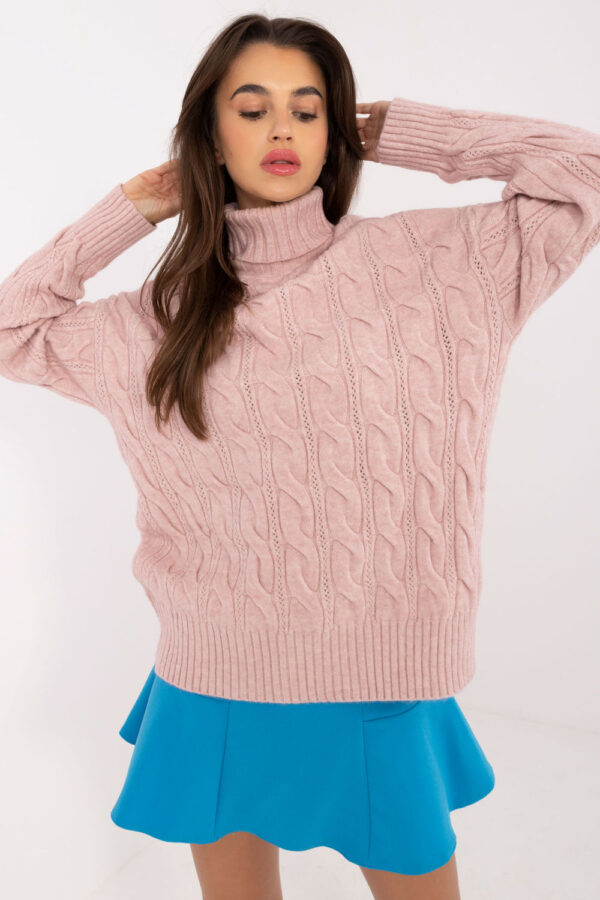 1037540 Turtleneck model 199642 AT