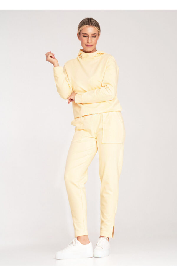 1042988 Tracksuit trousers model 201476 Figl