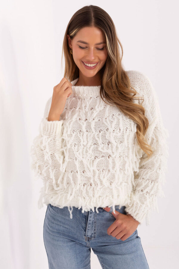 1090348 Jumper model 217052 Rue Paris