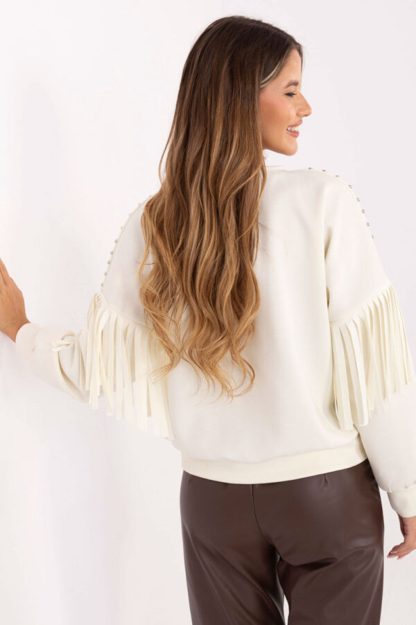 1097765 Sweatshirt model 219463 Rue Paris