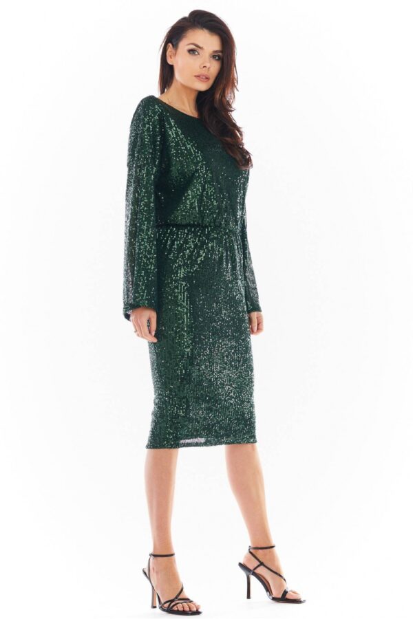 Evening dress model 150756 awama