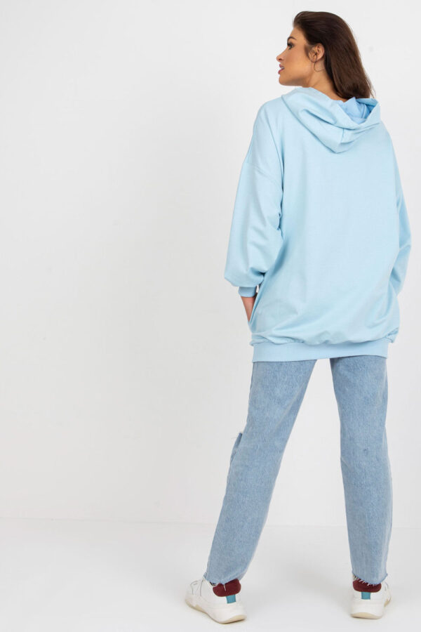 976155 Sweatshirt model 178966 Fancy