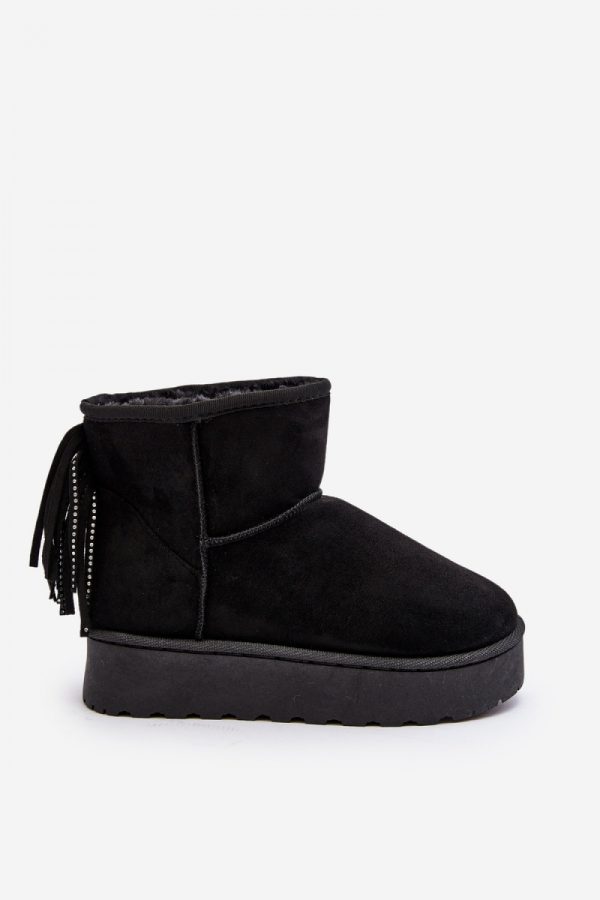 1006718 Snow boots model 189410 Step in style
