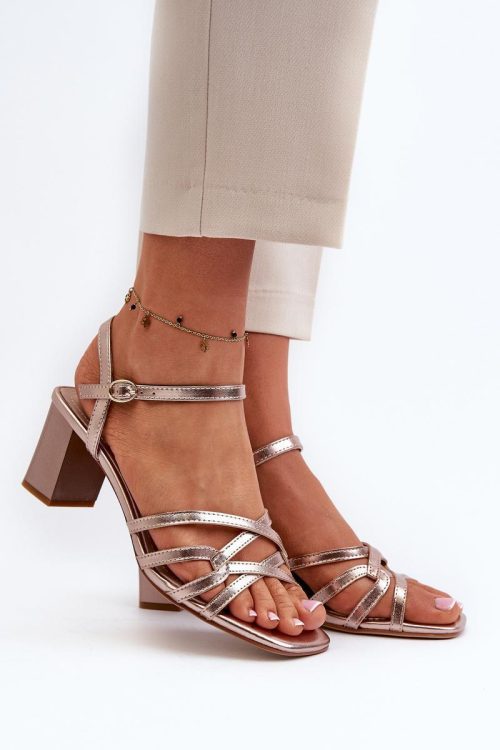 1025860 Heel sandals model 195745 Step in style