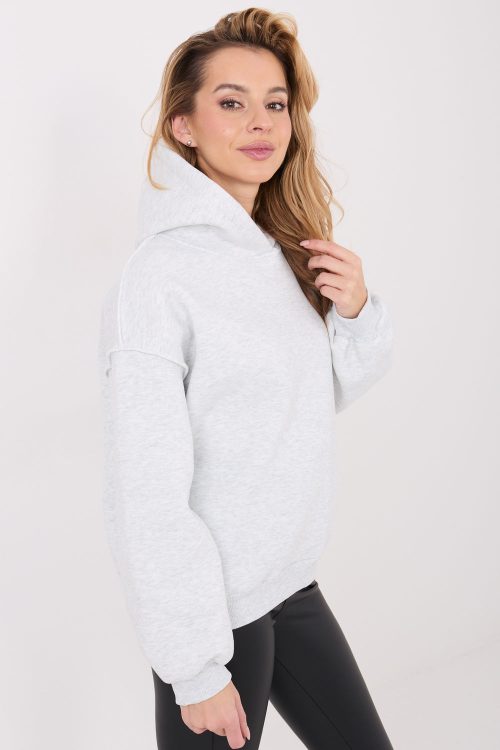 1109567 Sweatshirt model 223082 Factory Price