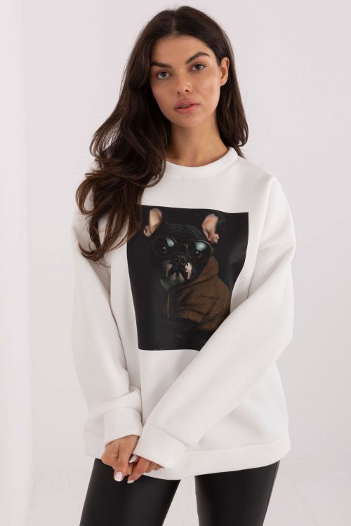 1109969 Sweatshirt model 223196 Italy Moda