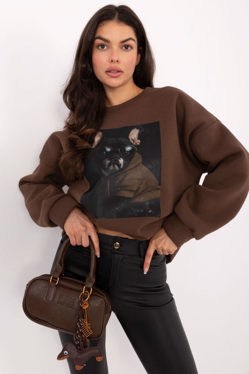 1109972 Sweatshirt model 223197 Italy Moda