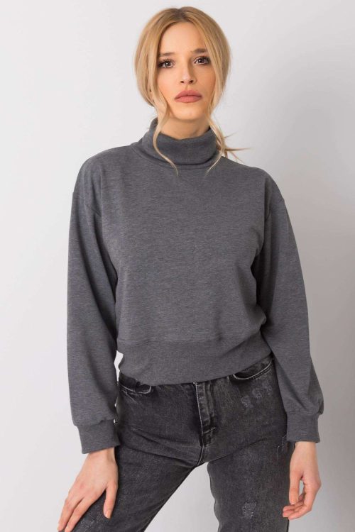 924868 Sweatshirt model 161484 BFG